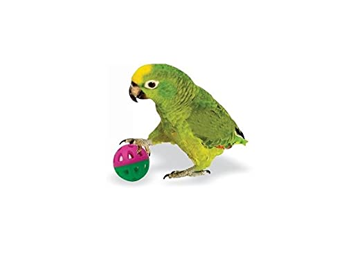 Bird Ball Toys with Rattler for Birds Playing Toys (Pack of 4) Birds