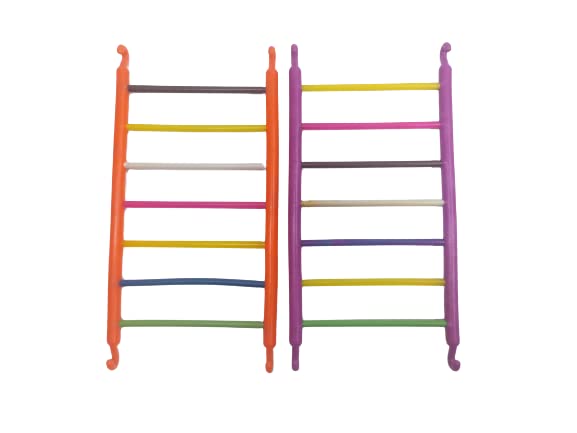 Birds Ladder Pack of 2 (Small)