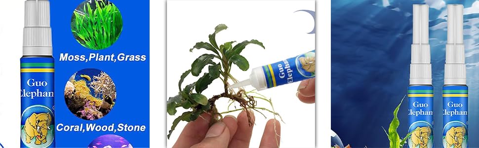 Aquascaping Glue - 4Gm Only for Live Plants (2 Nos 4gm Each)