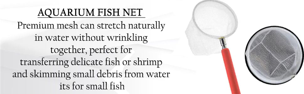 SS Small Net Extendable Handle Shrimp Net (Round) Pack of 1 (Colour May Varry) Aquarium Fish Net (13 cm x 5 cm)