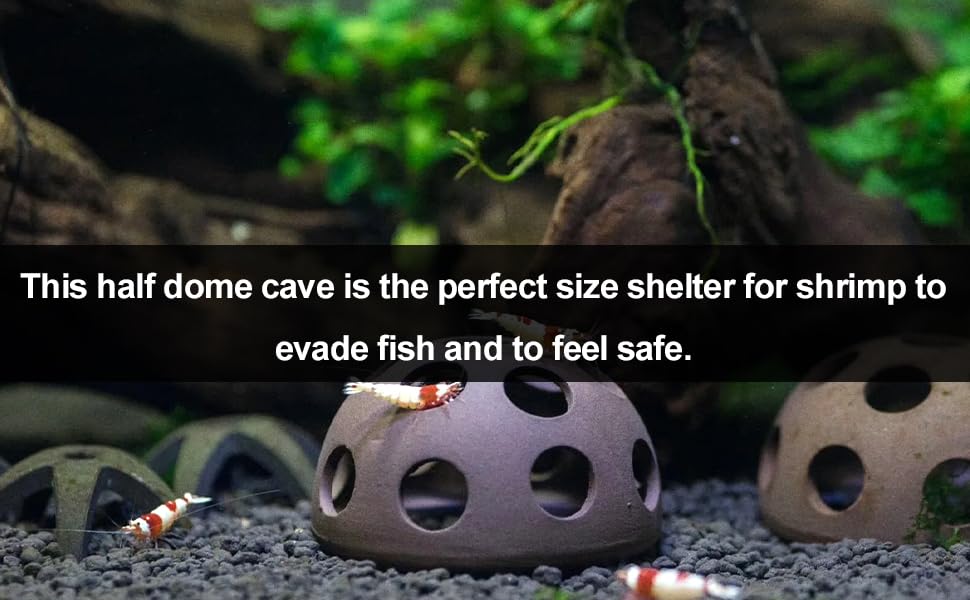 Aquarium Shrimp House Clay shelter 15 Holes Shrimp Cave Size 5.5cm (1 PC)