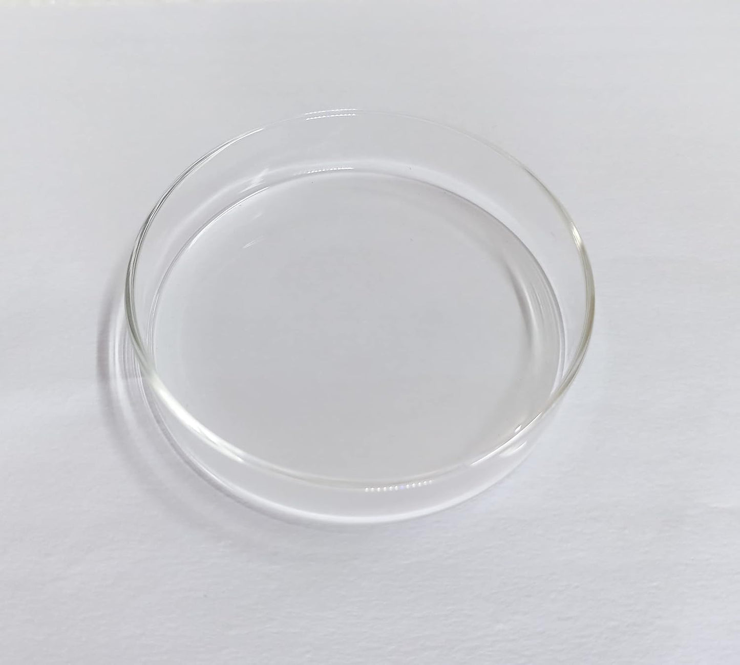 MR TRADERS Glass Shrimp Food Tray (Large Size : 9.8cm)