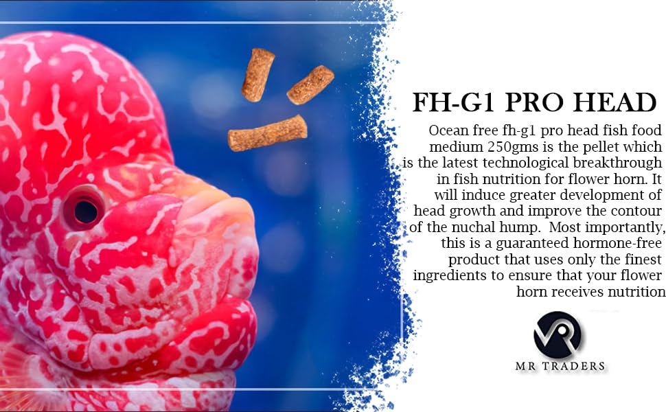 Ocean Free FH-G1 Pro Head (120 g) Aquarium Flowerhorn Fish Food