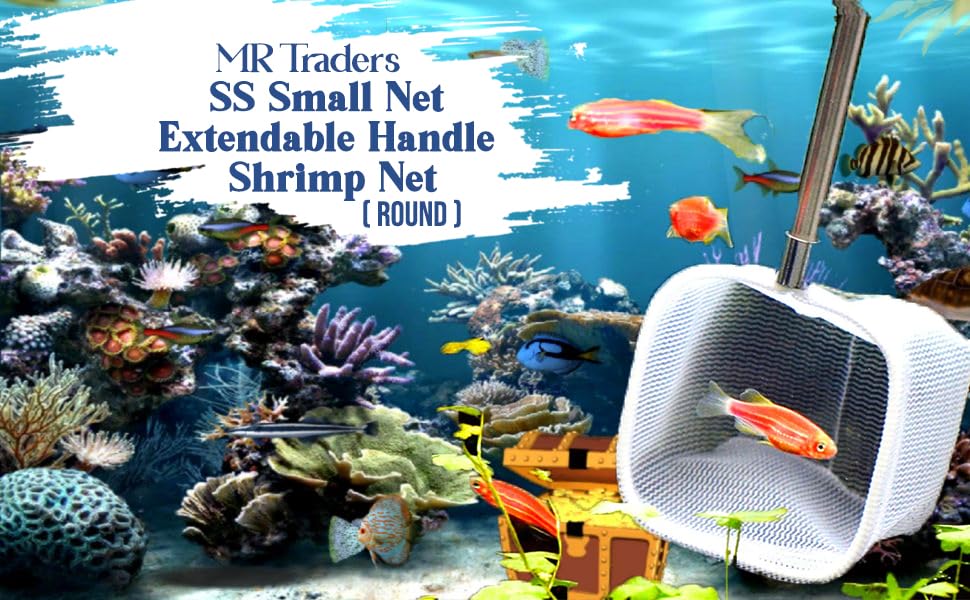 SS Small Net Extendable Handle Shrimp Net (Round) Pack of 1 (Colour May Varry) Aquarium Fish Net (13 cm x 5 cm)