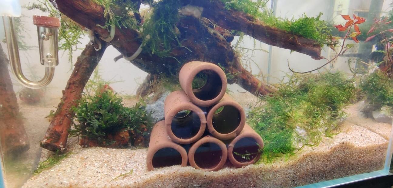 Aquarium Shrimp House Clay shelter 6 Holes Shrimp Cave