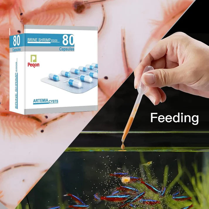 Brine Shrimp Artemia Eggs Vertical Hatchery Incubator with Peqon Artemia Capsules (1 Strip ā 10 Capsules)