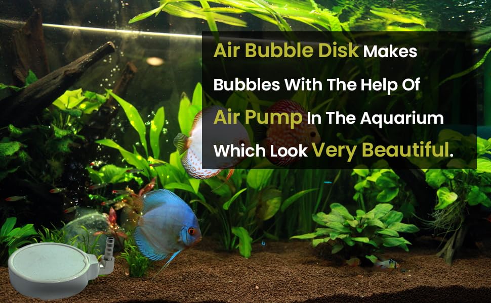 Round Air Stone Disc 5 CM Bubble Diffuser for Aquarium Fish Tank (air Controller, Non-Return Valve Plastic, Airline Tubing Suction Cup)