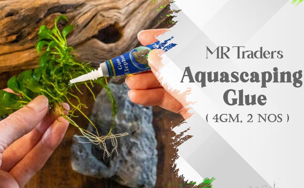 Aquascaping Glue - 4Gm Only for Live Plants (2 Nos 4gm Each)