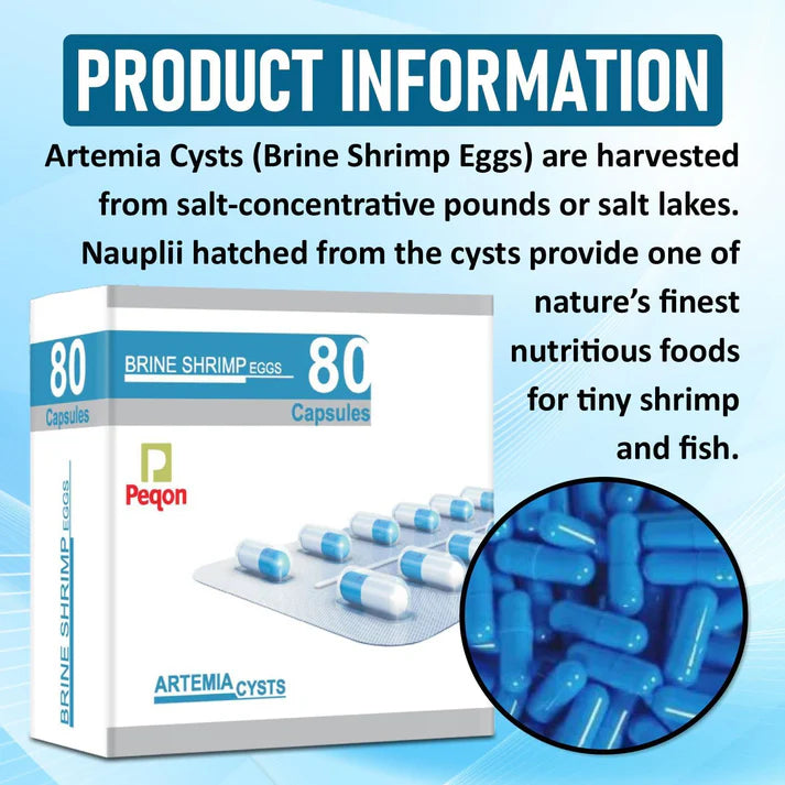 Brine Shrimp Artemia Eggs Vertical Hatchery Incubator with Peqon Artemia Capsules (1 Strip ā 10 Capsules)