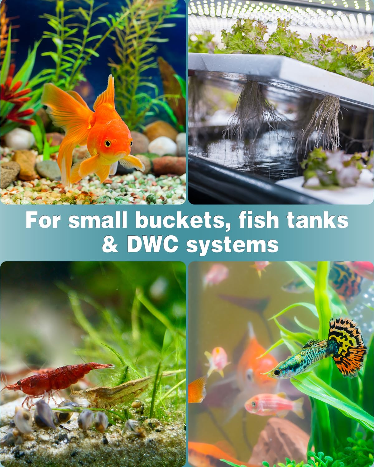 Aquarium Air stone