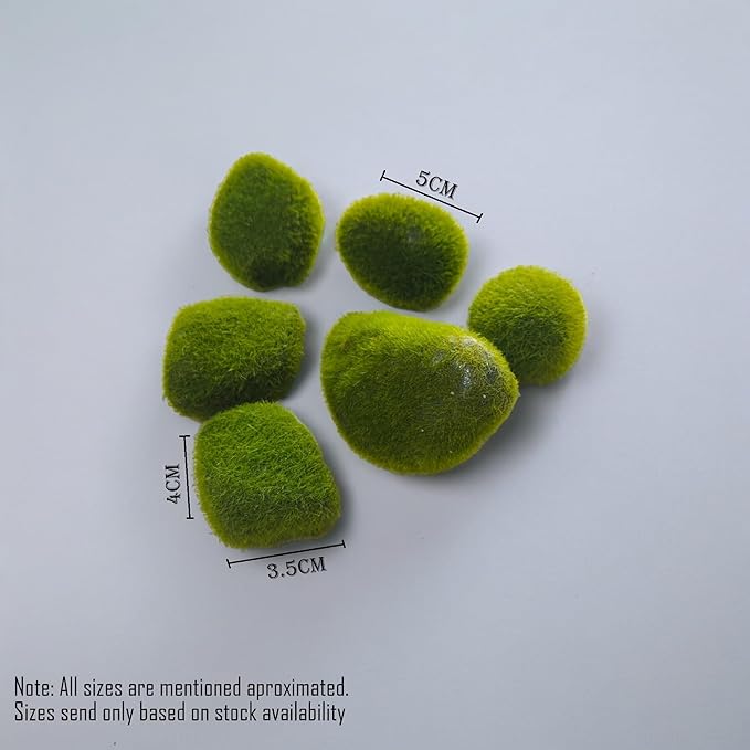 MR TRADERS Artificial Moss Rocks Mini Decor Variable Size Moss Rocks Aquarium, Terrarium, Fairy Garden, Moss Landscape Decorations,Sizes Send only Based on Stock Availability