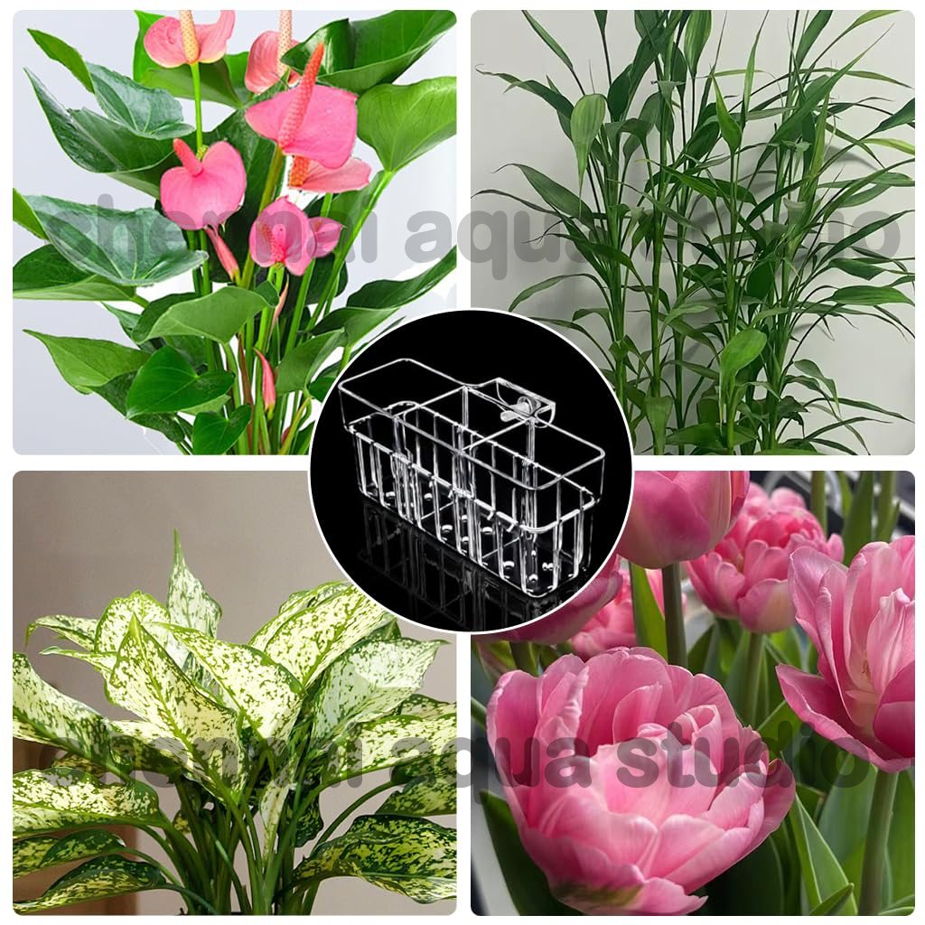 Clear Acrylic Aquarium Plant Cup – Hanging Hydroponic Basket for Fish Tank | Aquatic Root Growing Planter (18 × 6 × 8 cm)