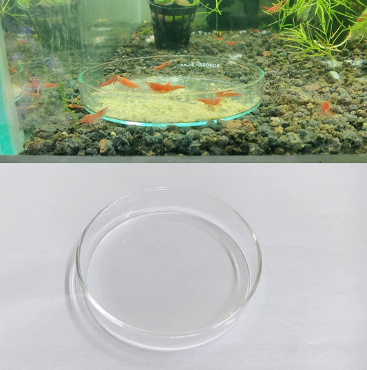 MR TRADERS Glass Shrimp Food Tray (Small Size : 8cm)