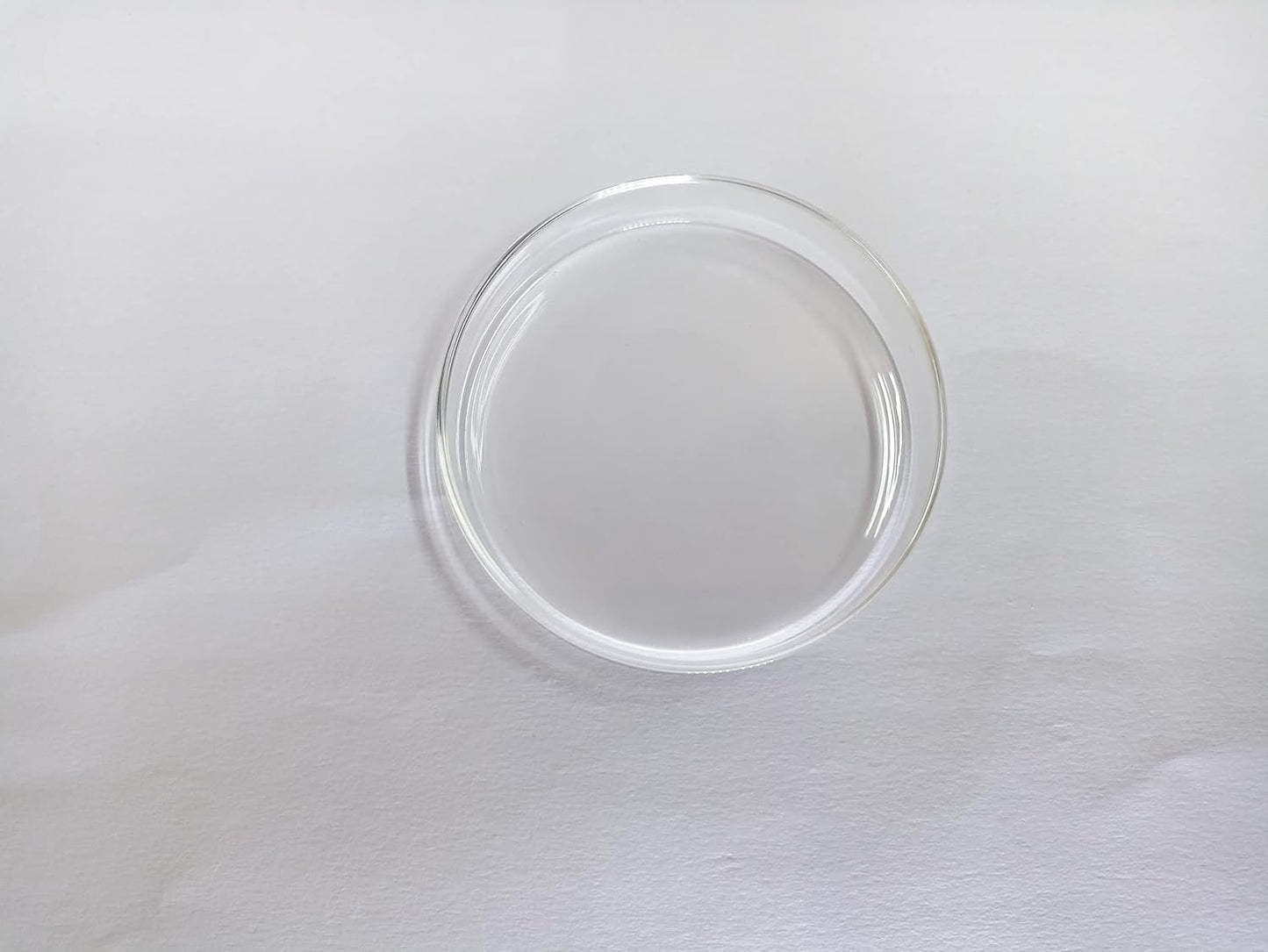 MR TRADERS Glass Shrimp Food Tray (Large Size : 9.8cm)