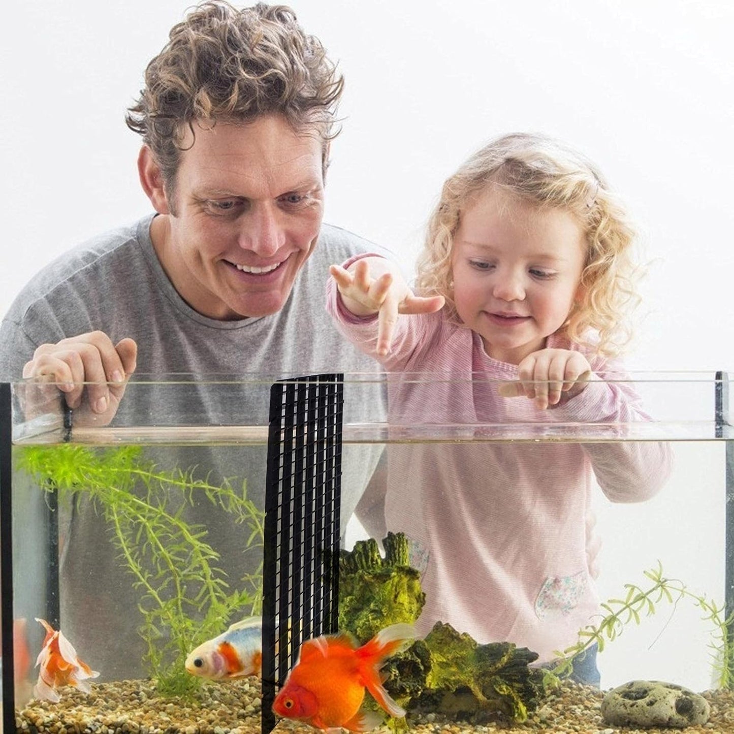 MR TRADERS Aquarium Egg Divider White Color(Pack Of 2)/ Plastic/Suction Cup (2 Pcs)