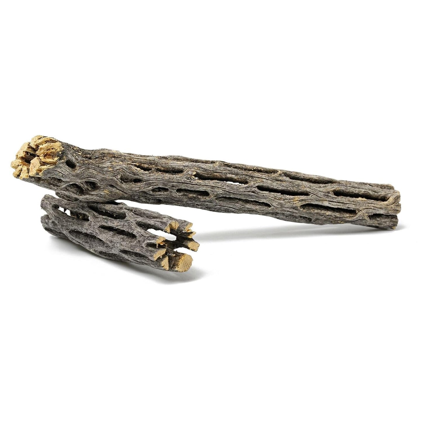 Cholla Wood Mix Unique Structure 15 cm