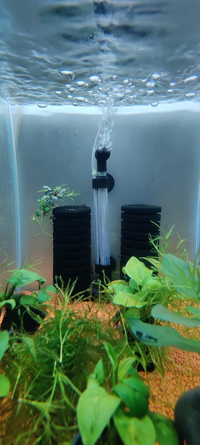 Bio-Sponge Filter Air Filter Double Sponge Water Filter Best For Shrimp Tank Big Size