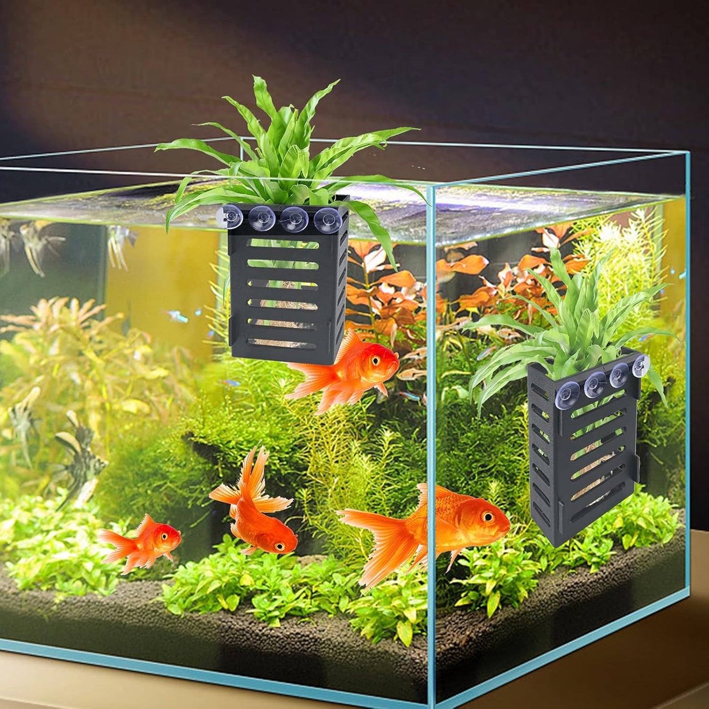 Aquarium Plant Holder with Suction Cups & Hooks – Hanging Water Plant Pot for Aquatic Plants, Durable ABS Plastic, Ideal for Pothos, Bamboo & More (Pack of 1)