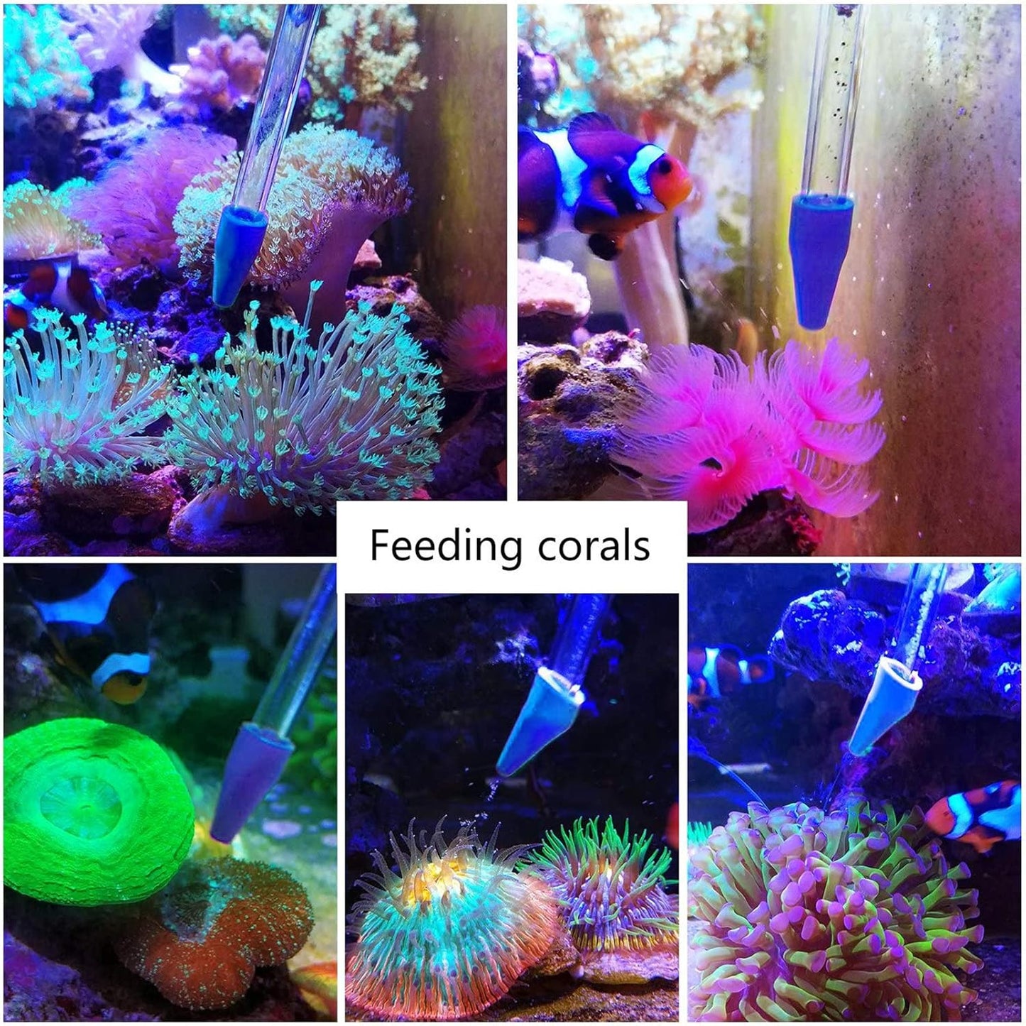 Aquarium Coral Feeder Dropper β Acrylic Long Tube Pipette for Target Feeding, Liquid Fertilizer & Waste Removal (Saltwater & Freshwater) 35cm (Copy)