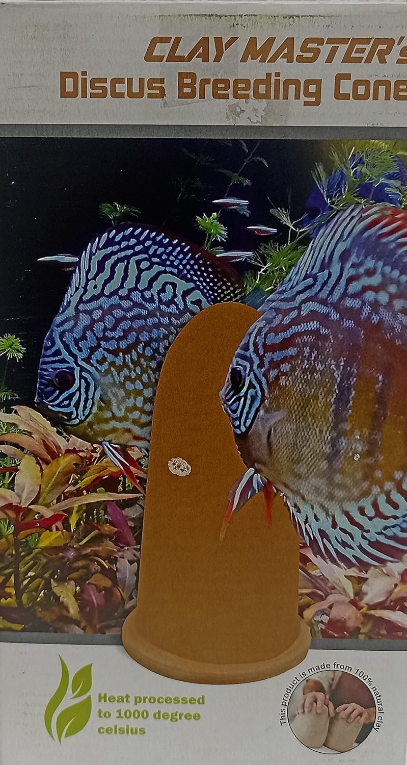 Discus Breeding Cone Handmade Clay Articles XL Sized