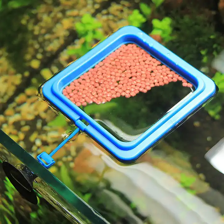 Aquarium Floating Fish Feeding Tray( Ring & square) with Suction Cup Include