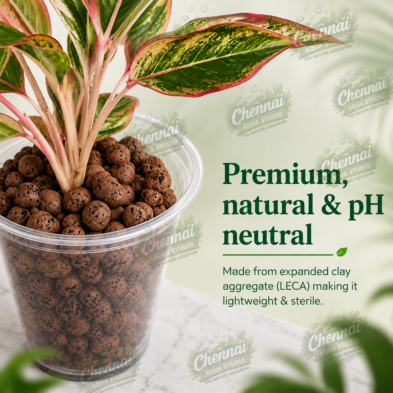 LECA Balls for Plants Clay Balls for Plants, Hydroponics and Soilless Gardening-Improves Plant Growth, Aeration, and Drainage 300GM