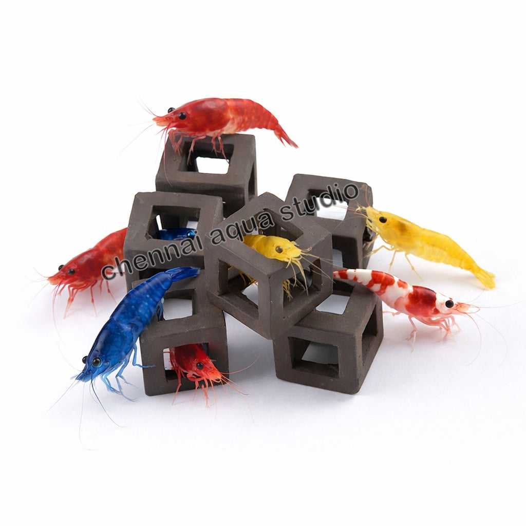 CubeOne Shrimp Mini Cubes – 5 Pack Aquarium Shrimp Hiding Caves | Breeding & Molting Shelter (2×2×2 cm)
