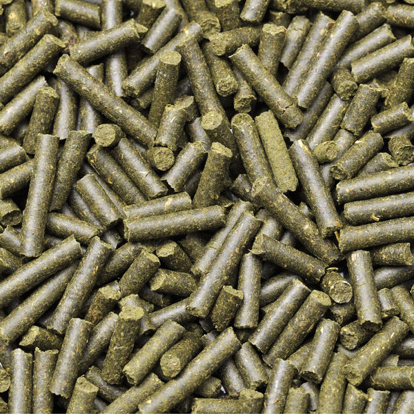 Dennerle Shrimp Food Complete