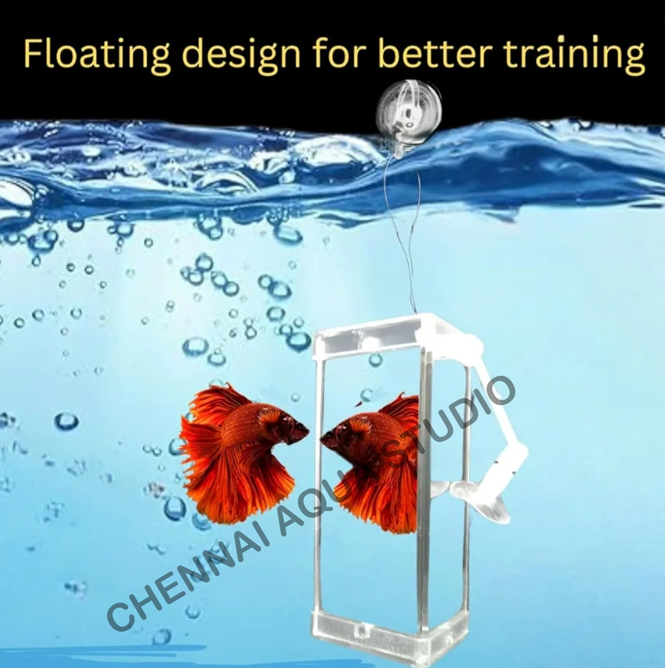 Rumble Fish Betta Training Mirror Set ā 3-Sided Mirror with Frame, Floating Interactive Ball & Suction Cup ā Enhances Fin Display & Physical Activity (Model: DYJ-10)