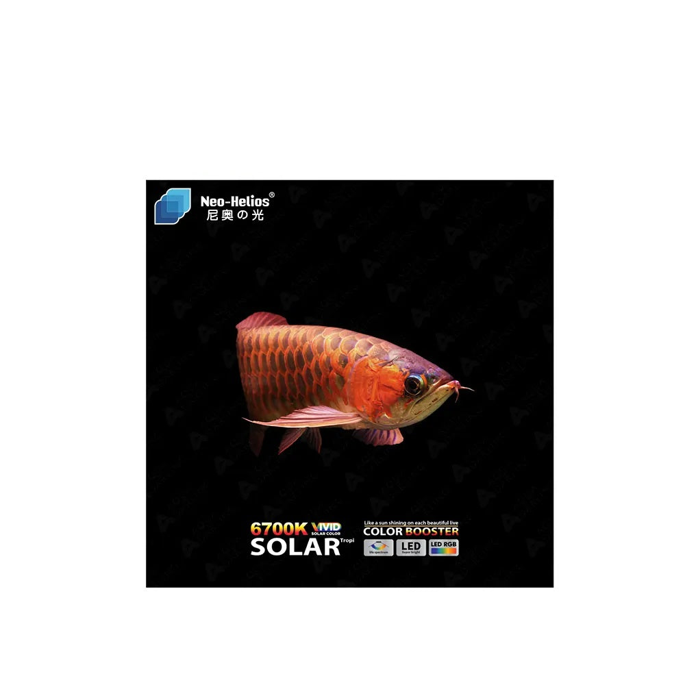 Neo Helios Solar Colour Booster Submersible LED Light for Aquarium Fish Tank | Enhance Fish Colour | High Brighness ST 260-26Cm | Suitable for 1 Feet Tank