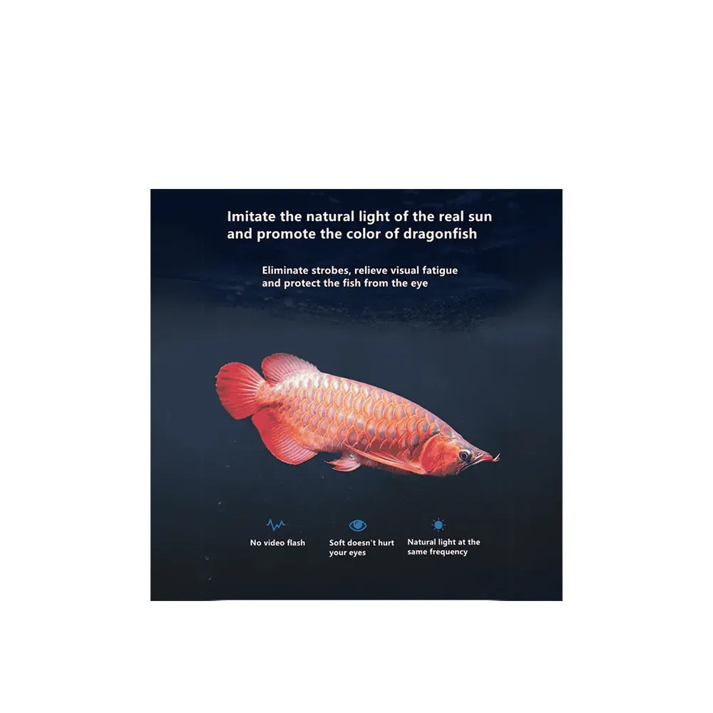 Neo Helios Solar Tropi Color Booster T8 Arowana Tanning Light ST-720 (72Cm) | 25 Watts | 6700K