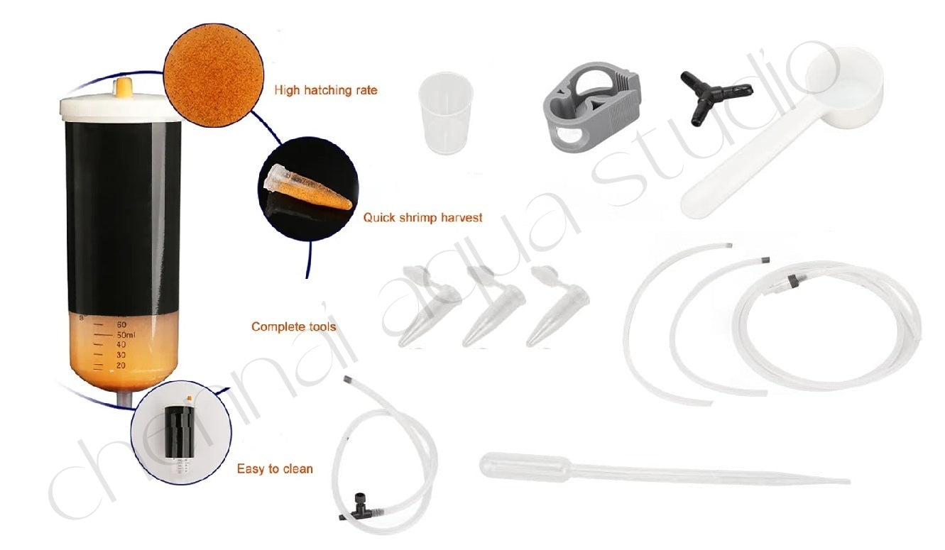 Brine Shrimp Hatchery Kit β Large Capacity Incubator with Regulating Valve | High Hatching Rate | Easy to Use & Clean | Complete Shrimp Hatching Accessories Included with Peqon Artemia Capsules (1 Strip β 10 Capsules)