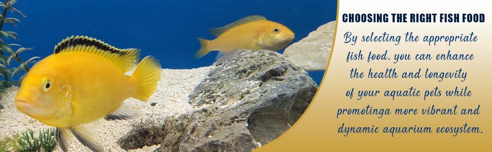 Cichlid Nutri - PRO 100G Floating pellets