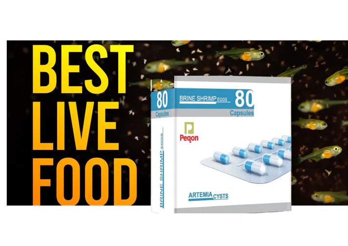 Peqon Artemia Capsules (brine shrimp eggs)