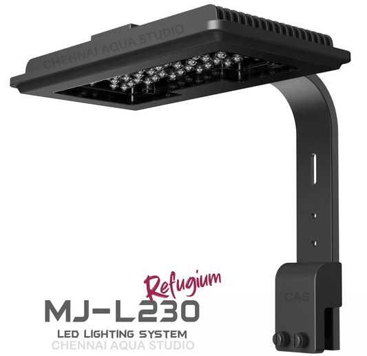 MAXSPECT MJ L230R LIGHT