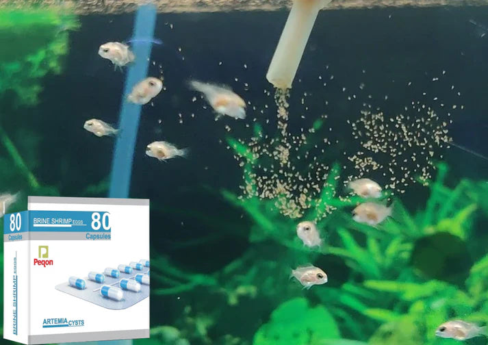 Peqon Artemia Capsules (brine shrimp eggs)