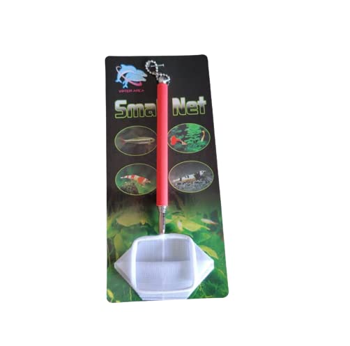 SS Small Net Extendable Handle Shrimp Net (Square) Pack of 1 (Colour May Varry) Aquarium Fish Net (13 cm x 5 cm)