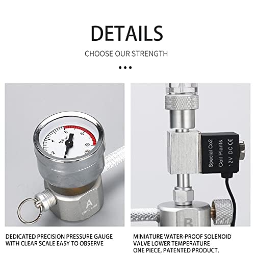 Stainless Steel 2L (Empty Cylinder) Planted Aquarium DIY Co2 Generator System Complete Kit with Pressure Gauge and Control Valve, Metal Bubble Counter, Co2 Tube and Diffuser (Complete Kit)
