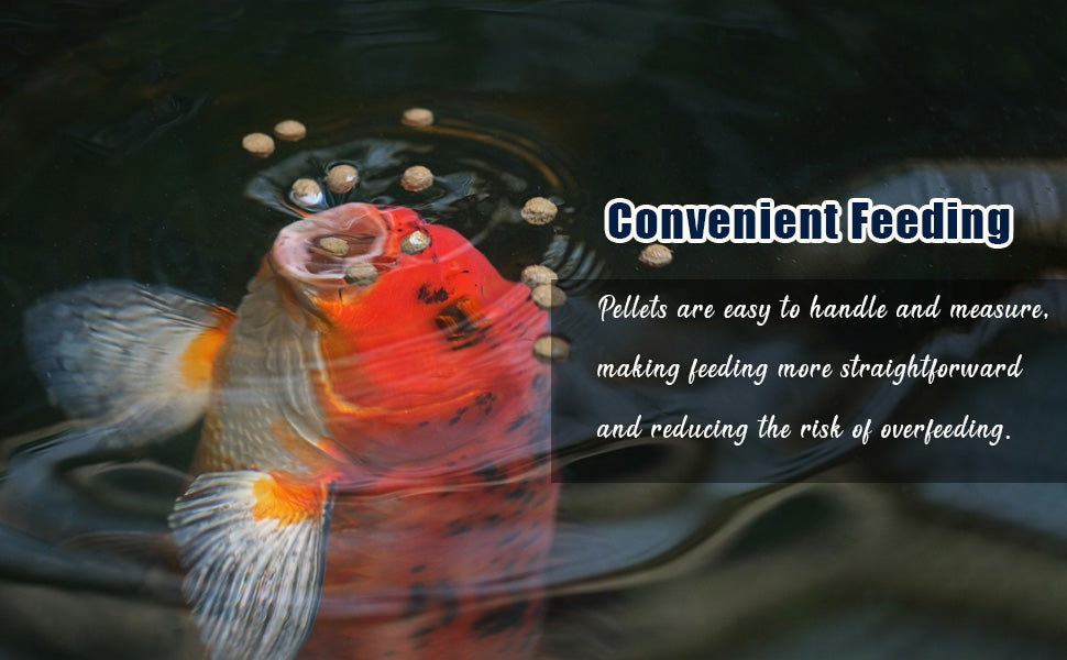 Cichlid Nutri - PRO 100G Floating pellets