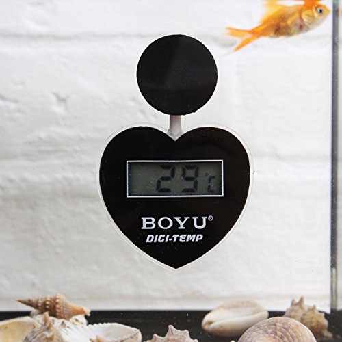 Boyu Subermersible Thermometer (Digital)