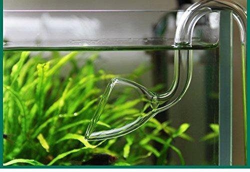 Lily Pipe Glass Inlet & Outlet For Canister Filter