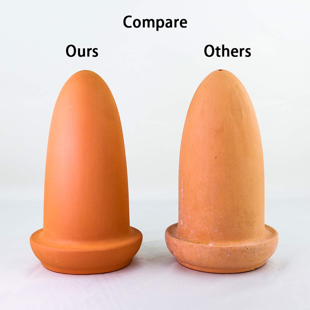 Breeding Cone