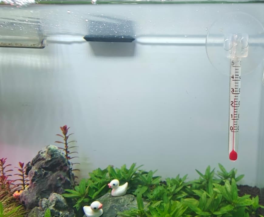 SunSun Glass Mini Thermometer For Small size tanks (Suitable for 1 Feet Aquarium) Size 6 CM