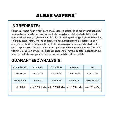 Hikari Algae Wafers