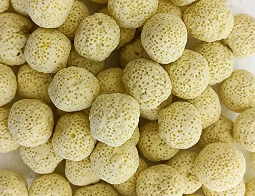 Yellow Ceramic Ball Bio Porous Filter Media Biological Aquarium Filter Bacteria Materials (250G)