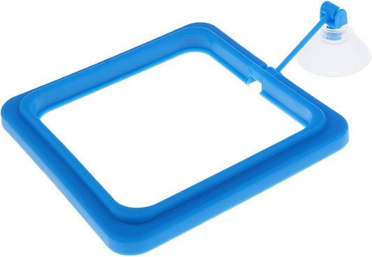 Fish Feeder Square