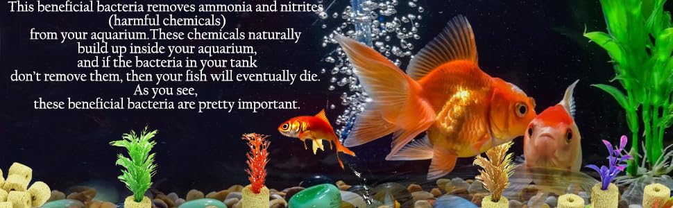 MR TRADERS Yellow Ceramic Ring Aquarium Filter Media 500g