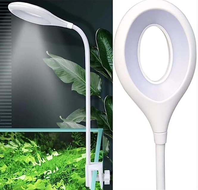 RS Electrical RS-S60 LED Lamp 4W  Oval, Blue+White