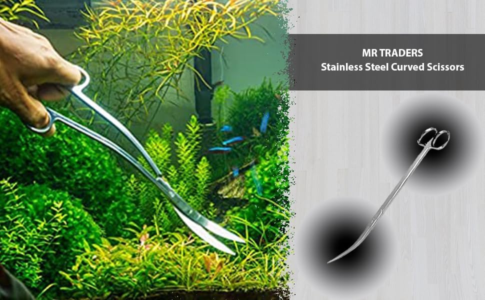 Stainless Steel Scissor Curved Scissors 25 cm