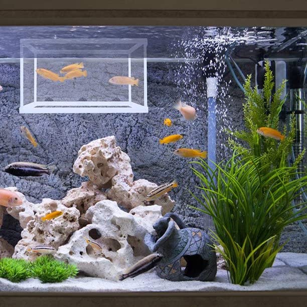 Boyu Aquarium Fish Breeding, Isolation, Hatchery Box For Fish Fry Net Box(Large Nb-3202A Double With Bottom Tray)